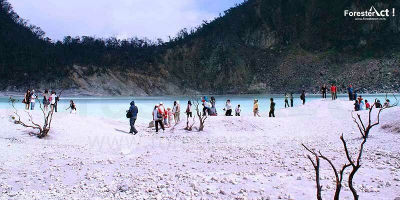 Kawah Putih Bandung