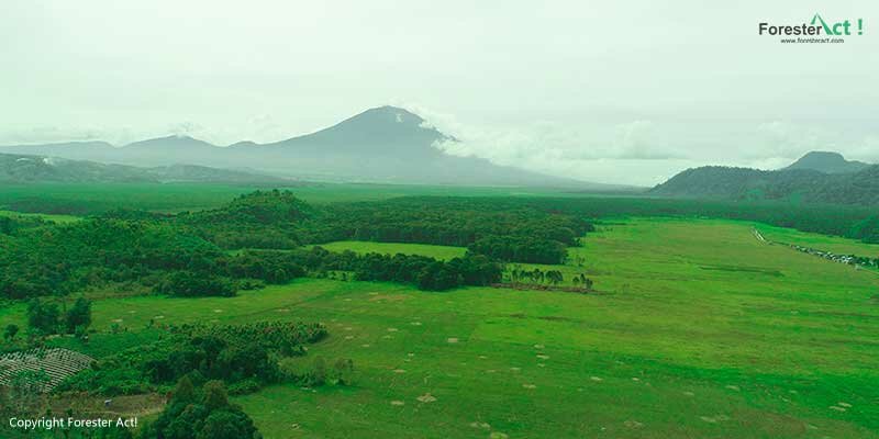 Lansekap-Lokasi-Ekspedisi-Manajemen-Hutan