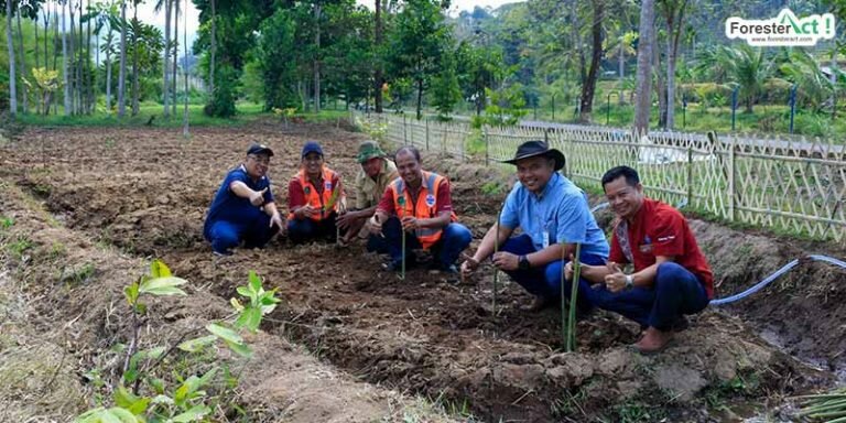 Penanaman sayur organik oleh PT Tirta Investama Plant Subang